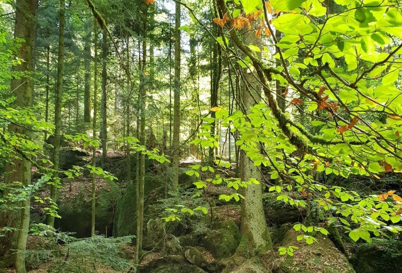 Ferienwohnung Paradies Weier Esterno foto
